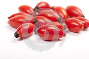 Ripe rose hip fruits on white background