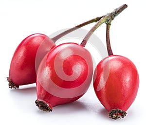 Ripe rose-hips isolated on a white background. Close-up