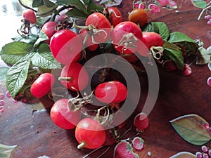 Ripe rosehips  on the table to cook into jam  photo