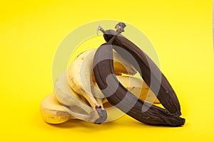 Ripe and rotten bananas, yellow background