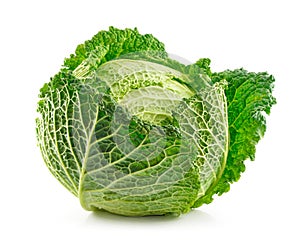 Ripe Savoy Cabbage Isolated on White photo