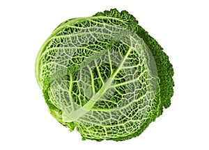 Ripe savoy cabbage on white background