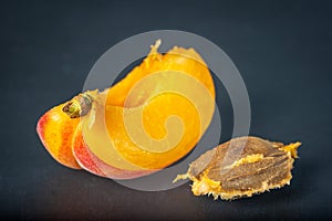 Ripe single apricot fruit slice cut open over dark background closeup