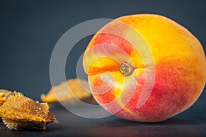 Ripe single apricot fruit with stone seed over dark background closeup