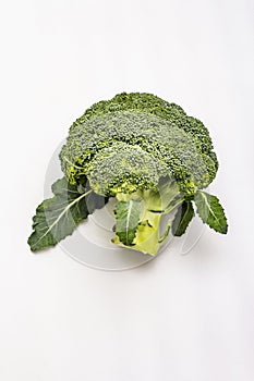Ripe single broccoli. Fresh whole head of cabbage, green leaves.  on white background