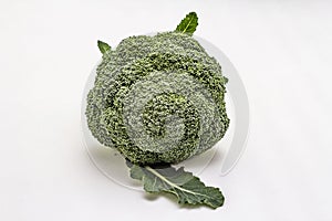 Ripe single broccoli. Fresh whole head of cabbage, green leaves.  on white background