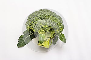 Ripe single broccoli. Fresh whole head of cabbage, green leaves.  on white background