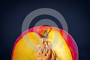 Ripe single nectarine fruit cut open with stone seed inside over dark background closeup
