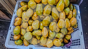 Ripe small yellow mangoes in the basket