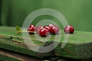 Ripe sour cherry