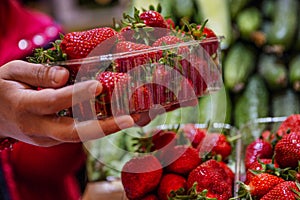 Ripe strawberries in a container in the hands of a seller of fruits and vegetables at the market. Close-up. Berry season. Vitamins