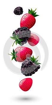 Ripe strawberries and dewberries. Red berries and black berries on white background. Vector illustration.