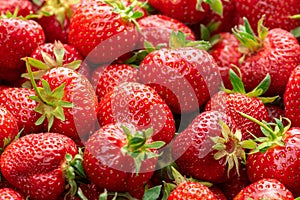 Ripe strawberries with green sepals. Background