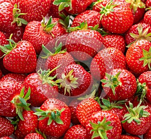 Ripe strawberries with green sepals. Background