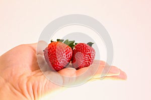 Ripe Strawberries in Hand