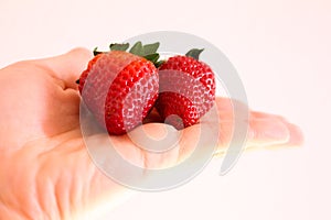 Ripe Strawberries in Hand