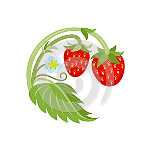 Ripe strawberries icon.