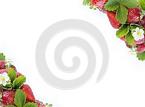 Ripe strawberries isolated on a white. Strawberries at border of image with copy space for text. Top view. Various fresh summer fr