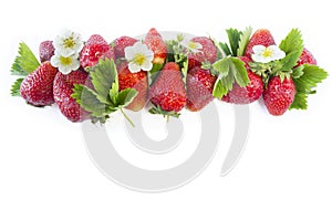 Ripe strawberries isolated on a white. Strawberries at border of