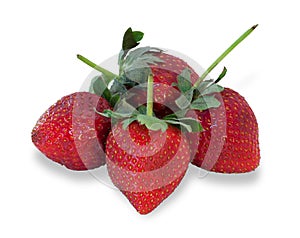 Ripe strawberries with leaves isolated