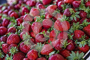 Ripe strawberries in the market. Healthy nutrition and vitamins. A lot of bright fragrant berries. Close-up