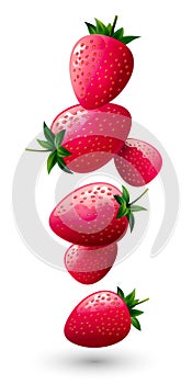 Ripe strawberries. Red berries on white background. Vector illustration.