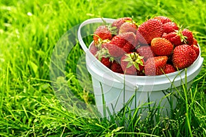 Ripe strawberry in basket on grass