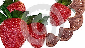 Ripe strawberry and DNA helix in the white background