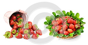 Ripe strawberry isolated on white. Collage. Wide photo. There is free space for text