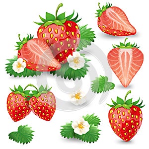 Ripe strawberry with leaves and blossom vector set