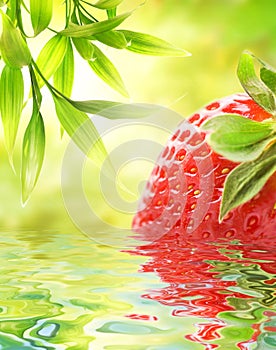 Ripe strawberry reflected in water