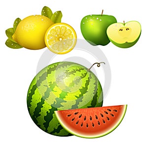 Ripe striped watermelon realistic juicy apple vector illustration slice green isolated ripe melon.