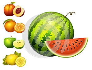 Ripe striped watermelon realistic juicy fruits slice apple vector illustration slice green isolated ripe melon.