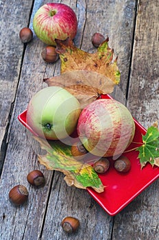 Ripe,sweet apple autumn harvest