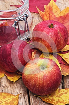 Ripe,sweet apple autumn harvest