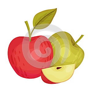 Ripe and Sweet Apples as Thanksgiving Day Attribute Vector Illustration