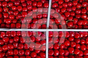 Ripe sweet cherries in a box in the market. A lot of red berries. Background. Space for text. Top view