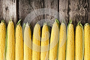 Ripe, sweet, fresh corn on cobs. Top view with copyspace on a brown rustic wooden table
