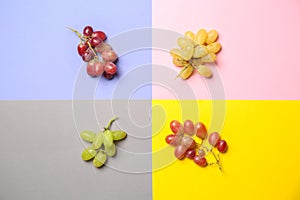 Ripe sweet grapes on colorful background