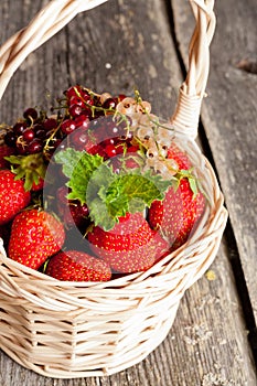 Ripe sweet strawberries, currants in wicker basket and mint leav