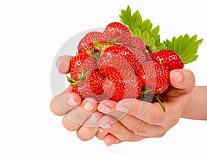 Ripe and sweet strawberries isolated on white.