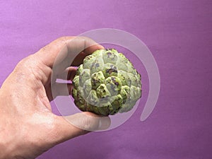 Ripe sweetsop fruit