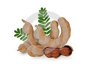 Ripe tamarind with leaf isolated on white