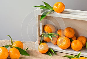 Ripe tangerines with green leaves are inside a wooden box and lie randomly on the table.