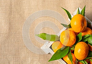 Ripe tangerines with green leaves are in a wooden box against a background of burlap fabric.