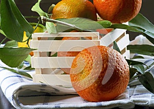 Ripe Tangerines with Leafs