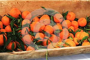 Ripe tangerines with leaves in wooden box