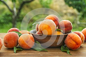 Ripe and tasty and juicy peaches lie on a plate on a wooden table in the garden. Fresh sweet peaches on the wooden table,