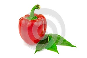 Ripe tasty red, orange sweet bell pepper, paprica with green leaves isolated on white background