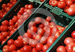 Ripe tasty red tomatoes at baazar.